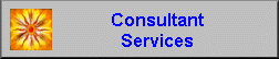 Consultant Services